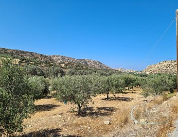Kavel in Matala