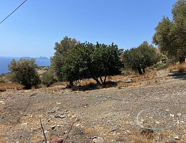 Kavel in Agia Galini