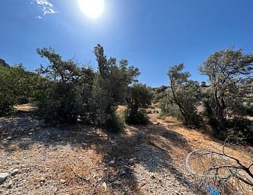 Kavel in Agia Galini