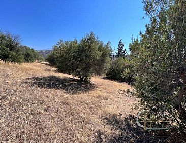 Kavel in Agia Galini