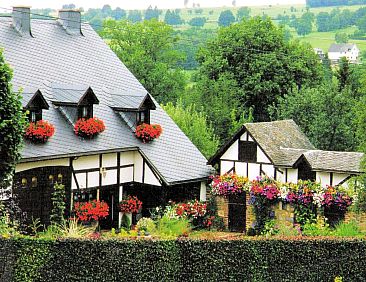La Fleur des Bois