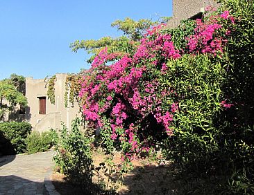 Appartement Bungalows für 2-4 Pers. mit Meerblick