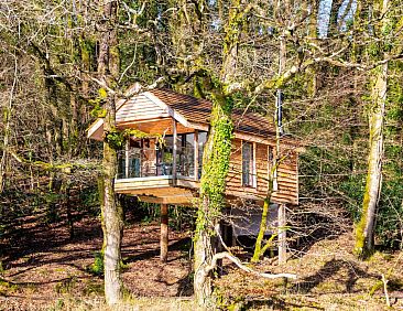 «Yeworthy Eco-Treehouse»