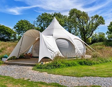 «Beech Lotus Belle Tent»