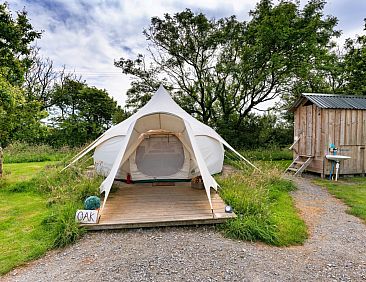 «Oak Lotus Belle Tent»
