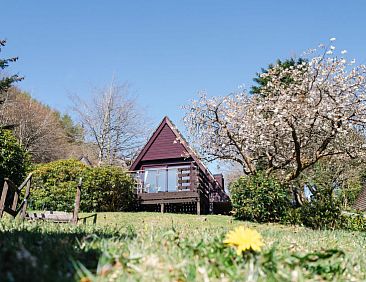 Vakantiehuis Sandpiper Lodge