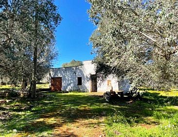 Vrijstaande woning in Ceglia Messapica