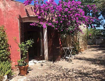 Appartement Wohnung mit Gartenblick