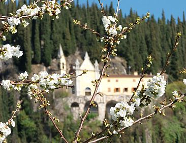 Appartement Anwesen mit Garten, Grill und Terrasse