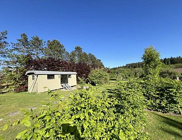 Pine Tree Tiny Cottage