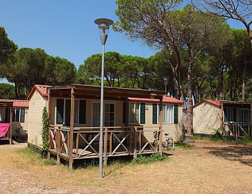 «Luna Pineta»