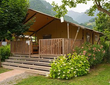 Safari Tent
