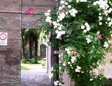 Appartement Wohnung Caprifoglio in Miasino