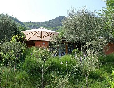 Vakantiehuis Oliveto Tignale