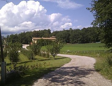 Appartement Wohnung 'Mercedes' mit Schwimmbad