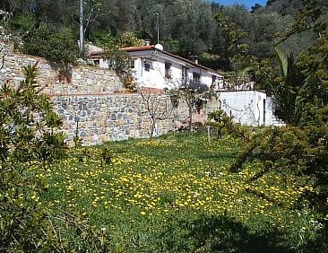 Vakantiehuis Casa Uliveto