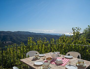 Appartement Rosa (VLO201)