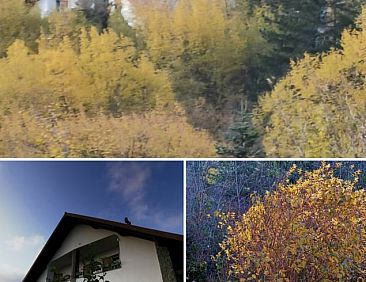 Huisje in Borzonasca