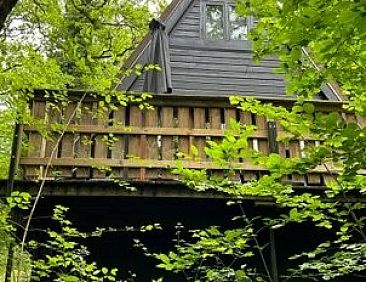 Chalet Du Bois VI