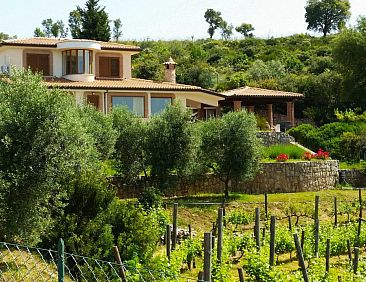 Vakantiehuis Weintrauben und Sterne Maison" Touristenunterku