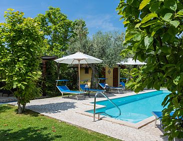 Vakantiehuis Olive Grove Sabina