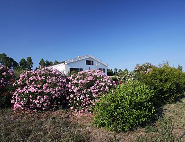 Vakantiehuis Landgut "Casa Gollei