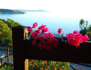 Vakantiehuis mit Wasserblick