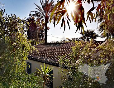 Vakantiehuis La Perla 22