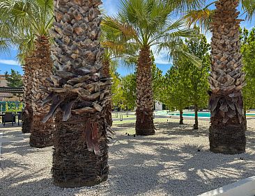 Vrijstaande woning in Partinico