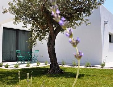 Vakantiehuis Mare e Dune