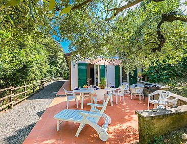 Vakantiehuis Podere gli Olivi