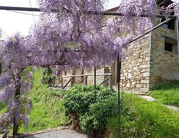 Vakantiehuis in Pietrabuona