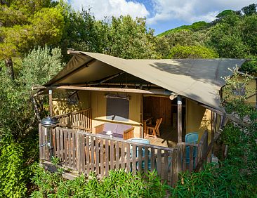 Lodge Safari