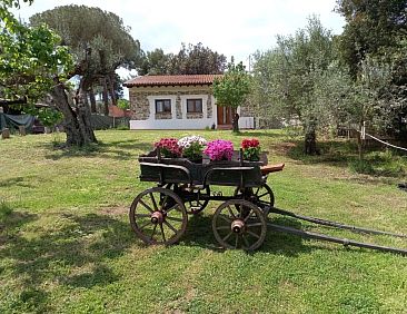 Appartement "Giotto" mit Terrasse