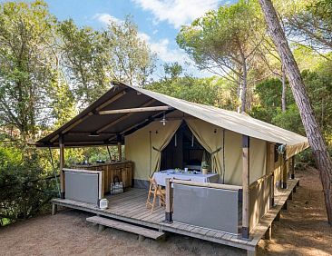 Tent Kenya