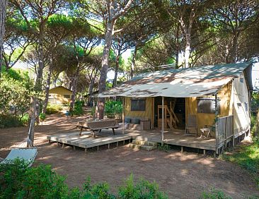 Lodge Oasi