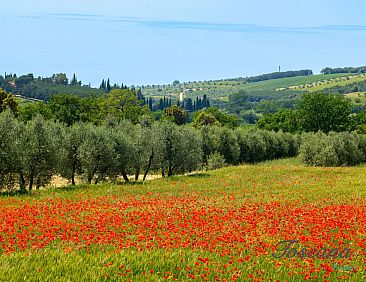 Vrijstaande woning en Massa Marittima