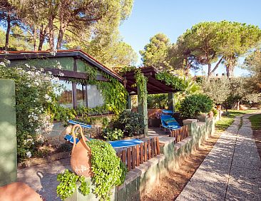 Vakantiehuis Piccola Oasi 6