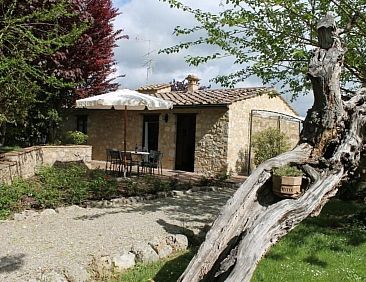 Appartement 'Santinovo olivo' mit Pool