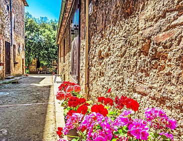 Appartement Il Cardo