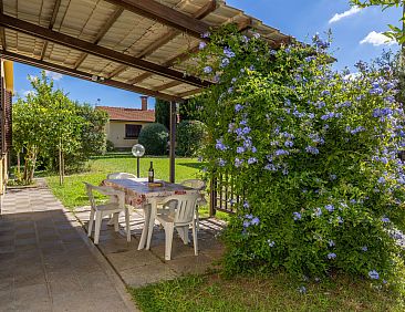 Appartement Casa Milla - Drei-Zimmer-Wohnung Fasan