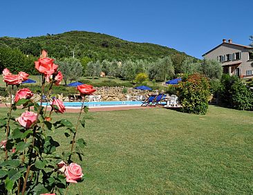 Appartement Madonnino Cypress Ferienwohnung