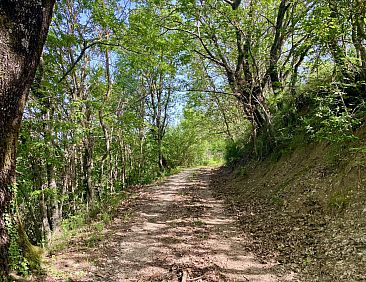 Vrijstaande woning in Todi