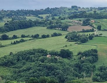 Il Casale Lilla - Glicine