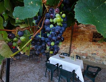 Appartement Wohnung in Castiglione Del Lago mit Terrasse, Ga