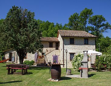 Lavanda