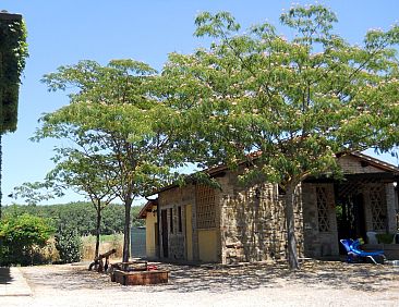 Vakantiehuis 'Nido' mit Pool