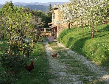 Vakantiehuisje in Orvieto