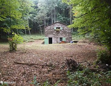 Baita Bosco Paesana