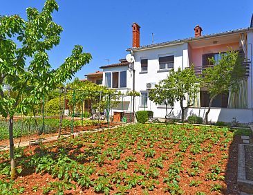 Appartement Apartment 1230